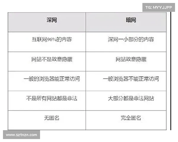 最佳暗网搜索引擎 2024年 最佳暗网搜索引擎 2024年